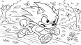 Rasender Sonic im Wald Ausmalbild für Kinder mit Geschwindigkeit